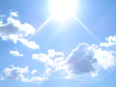 sole