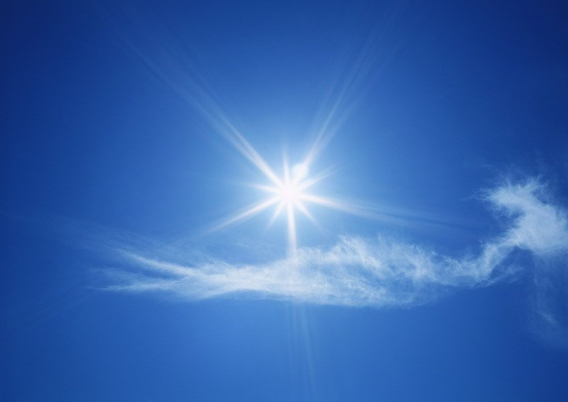 sole