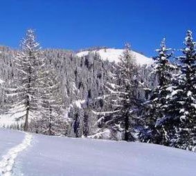 valbadia alberi